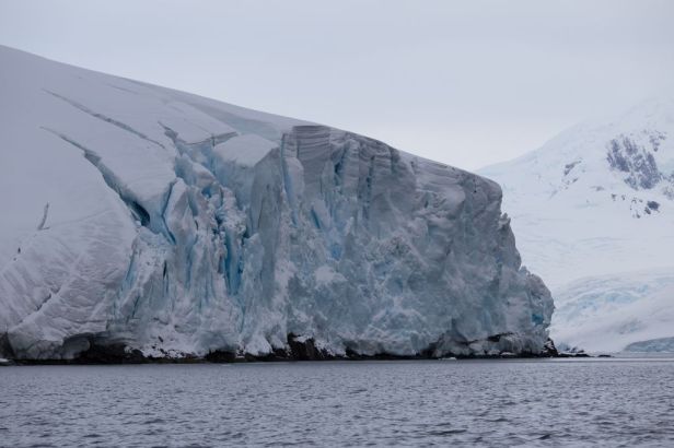 Antartica-455_resultat